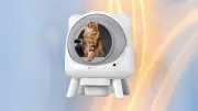 La litière autonettoyante à prix réduit révolutionne le quotidien des propriétaires de chats