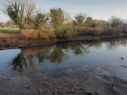 La Maison de la Nature d'Arcachon dévoile les secrets de la Réserve ornithologique en 2026