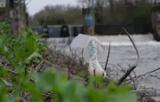 La Vilaine à Rennes porte les stigmates des inondations et une guirlande de déchets