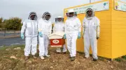 L'Aire du Larzac accueille trois ruches pour protéger les abeilles noires de l'Aveyron