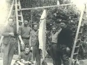 L'Aquitaine, terre d'eau : comment les rivières ont nourri les populations locales