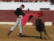 Le Bolsin de Bougue 2026 dévoile ses dix novilleros pour succéder à Clovis Germain