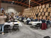 Le Challenge des Terroirs 2026 récompense 51 vins issus de 33 appellations françaises