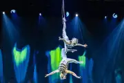 Le Cirque du Soleil déploie ses ailes à Marseille avec le spectacle Ovo