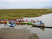 Le Conseil d'État confirme l'interdiction du kayak dans la réserve des prés-salés d'Arès