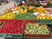 Le cynisme politique : comment un courtier instrumentalise les communautés pour son ascension