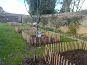 Le jardin médicinal de Pons lance de nouveaux ateliers gratuits et un troc plantes