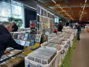 Le Printemps du disque à Mérignac : 50 000 vinyles rares et dérivés en vente