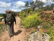 Le Rotary organise une avant-première caritative du film « Compostelle » à Lescar