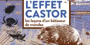 L'Effet Castor : Une Enquête Révélatrice sur un Bâtisseur Essentiel des Écosystèmes