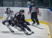 Les Boxers de Bordeaux s'imposent face à Marseille dans un premier match haletant