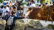Les écoliers gardois découvrent l'élevage lors des Journées Méditerranéennes des Saveurs