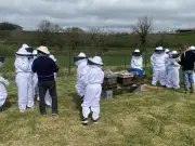 Les collégiens de Sauveterre-de-Béarn découvrent les abeilles et l'agriculture durable