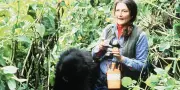 Les derniers secrets de l'affaire Dian Fossey révélés dans les montagnes rwandaises