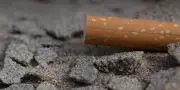 Les mégots de cigarette, révélateurs des usages et contradictions de la société française
