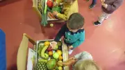 Les tout-petits de la crèche explorent les saveurs et textures des fruits et légumes