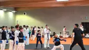 L'Open Gardois de Karaté William Graf attire près de 2 000 spectateurs à Bouillargues