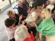 Médiation animale à Thenon : des chiens apportent joie aux résidents d'Ehpad