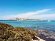« Méditerranée tropicale » : l'odyssée écologique de Stefano Liberti sur une mer en péril