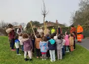 Montagne : des enfants plantent quatre mûriers-platanes dans leur école maternelle