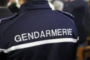 Moselle : quarantaine de moutons morts découverts dans un élevage insalubre
