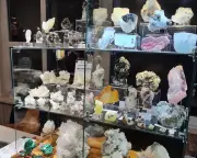 Mérignac accueille le 10e salon Minéraux, fossiles et bijoux les 7 et 8 mars