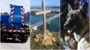 Occitanie : Arnaques post-tempêtes, croix mystérieuses et affaire de maltraitance animale