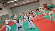 Passages de grades réussis pour la team Arino, le club de taekwondo d'Agde