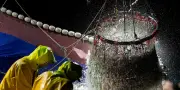Pêche française en déclin : captures historiquement basses et stocks menacés
