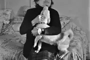 Qui est le véritable héritier littéraire de Marguerite Duras ? Le test du Durassomètre