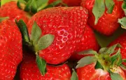 Rappel de fraises espagnoles : un taux de pesticides trop élevé détecté