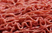 Rappel massif de viande hachée contaminée à E. coli en France : les références à connaître