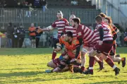 Rugby : Pays Médoc reçoit Saint-Jean-d'Angély pour une fin de championnat engagée