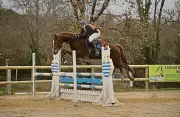 Saint-Seurin-sur-l’Isle lance sa saison équestre avec un concours de saut d'obstacles