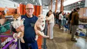 Salon des animaux de compagnie à Nîmes : chats et chiens stars, bien-être animal en vedette