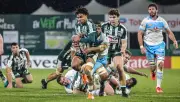 Section Paloise : une force invaincue à domicile pour le sprint final du Top 14