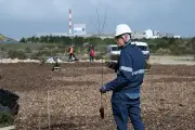Solvay plante une micro-forêt de 1 200 arbres et des abris pour la faune à Port-Neuf