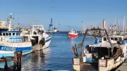 À Sète, les pêcheurs veulent rester au large la nuit pour économiser le gazole