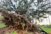 Tempêtes Nils et Pedro : 1,2 milliard d'euros de dégâts selon les assureurs