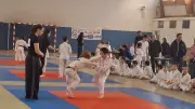 Tournoi de judo à Vergèze : 600 combattants sur les tatamis