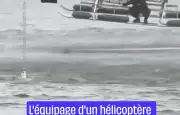 Un chien sauvé de la noyade par un hélicoptère dans l'État de New York