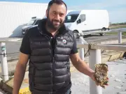 Une huître géante de 1,7 kg découverte à Ars-en-Ré, baptisée « Au Ré »