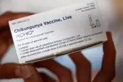 Vaccin Ixchiq contre le chikungunya : l'ANSM publie un nouveau bilan sur les effets indésirables