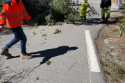 Villecroze : la RD 560 rouverte après la chute d'un pin et un incident sur la RD 557