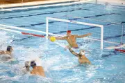 Water-polo : l'Olympic Nice Natation retrouve les sommets grâce à un projet solide