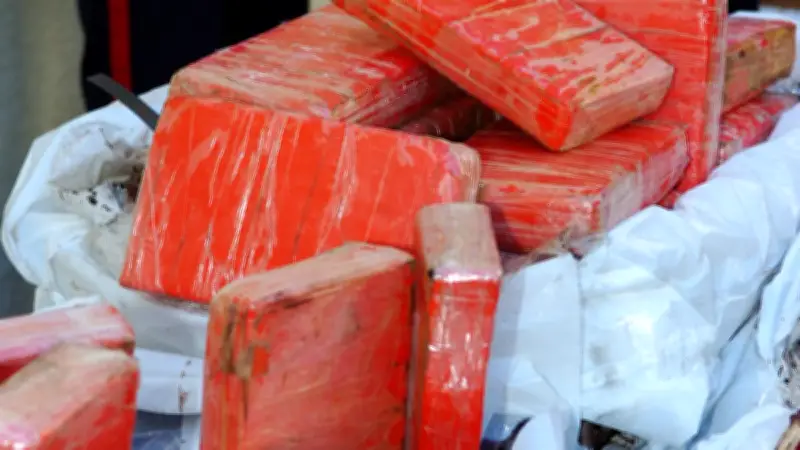 19 kg de cocaïne dans un camion : un chauffeur roumain condamné à Montpellier