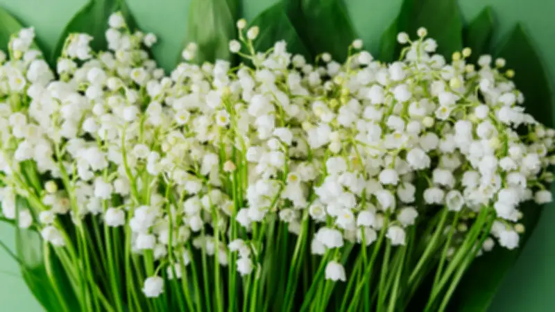 1er-Mai : pas de tolérance administrative pour boulangers et fleuristes