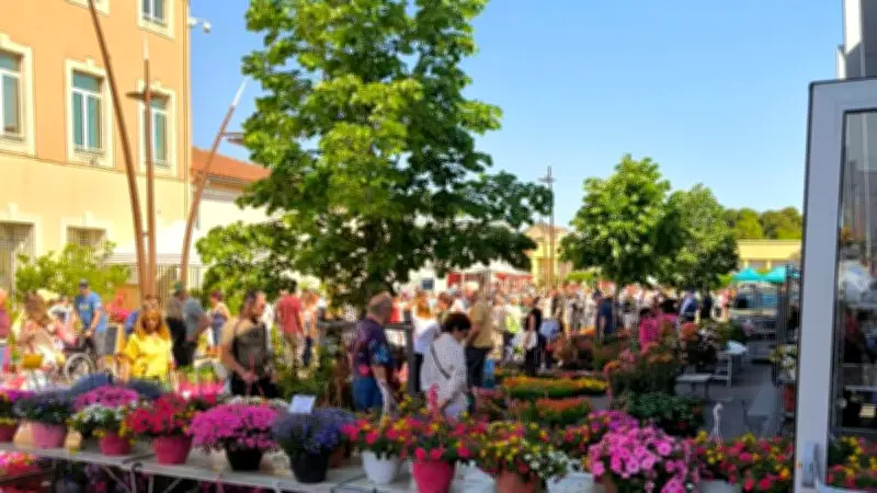 28es Floralies : une édition ensoleillée et très fréquentée