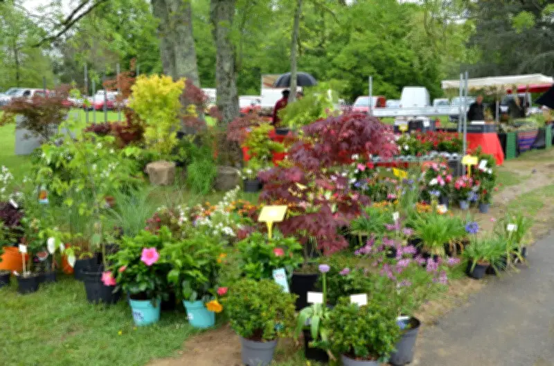 29e Floralias à Bizanos : jardinage, ateliers et musique au château de Franqueville