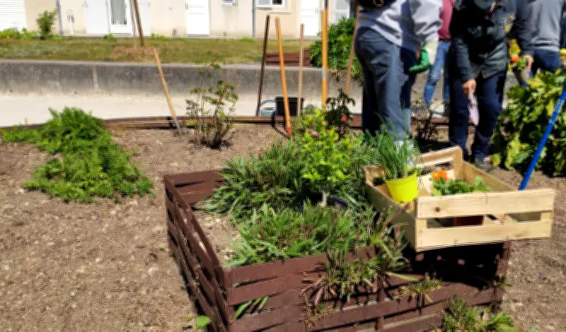 48h de l'agriculture urbaine : ateliers jardinage et cuisine sauvage à Bidart